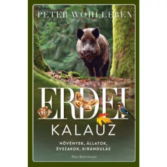 Erdei kalauz