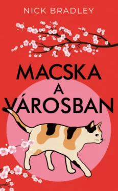 Macska a városban
