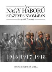   A nagy háború százéves nyomában: Szarajevótól Trianonig - 2. kötet - 1916-1917-1918