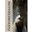 Margittai Gábor - Fantomfájdalom