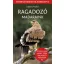 Legény Árpád - Ragadozó madaraink - Természetbarátok zsebkönyve