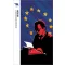 Bibó István - Az európai társadalomfejlődés értelme - Trubadúr Zsebkönyvek 96.