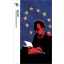 Bibó István - Az európai társadalomfejlődés értelme - Trubadúr Zsebkönyvek 96.