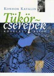 Tükörcserepek - Közéleti írások