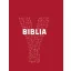 Ifjúsági Biblia -Y-Biblia