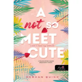 A Not So Meet Cute - A (nem is olyan) nagy találkozás