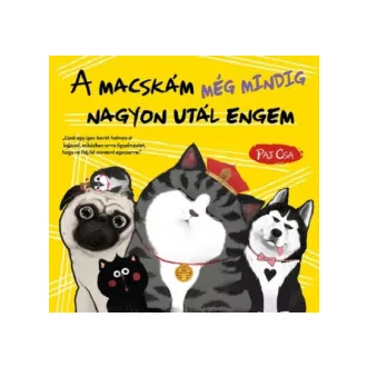   A macskám még mindig nagyon utál engem - Macska és Kutya 3.