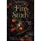 Fire Study - Tűztan - Study 3.