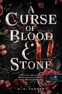 A Curse of Blood and Stone - Vér és kő átka - Sors és tűz 2.