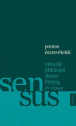 Pontos észrevételek