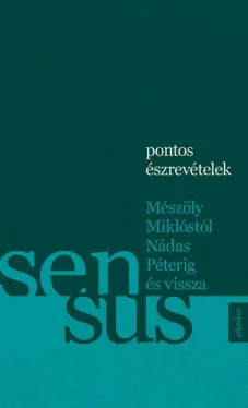 Pontos észrevételek