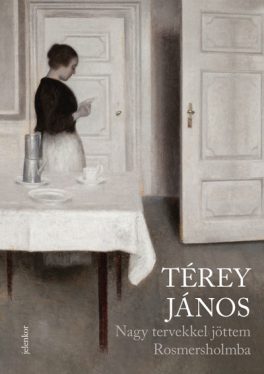 Nagy tervekkel jöttem Rosmerholmba