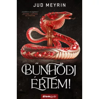 Bűnhődj értem!