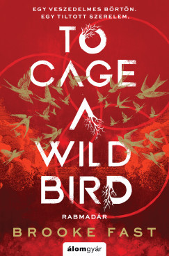To Cage a Wild Bird - Rabmadár - Éldekorált