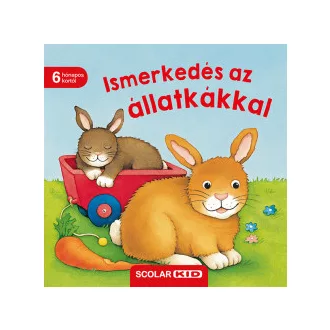 Ismerkedés az állatkákkal