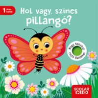 Klara Tünner - Hol vagy, színes pillangó?
