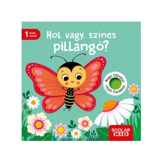 Klara Tünner - Hol vagy, színes pillangó?