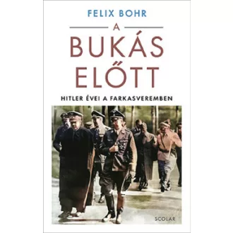 Felix Bohr - A bukás előtt