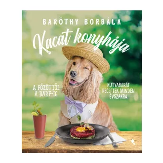 Kacat konyhája