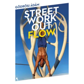 Street workout flow