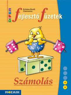 DIFER Fejlesztő füzetek - Számolás - MS-9330V