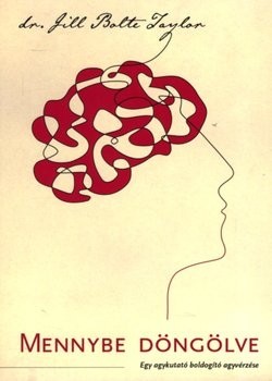 Mennybe döngölve - Egy agykutató boldogító agyvérzése