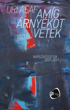 Amíg árnyékot vetek