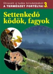 Settenkedő ködök, fagyok