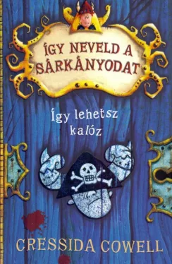 Így lehetsz kalóz - Így neveld a sárkányodat 2.