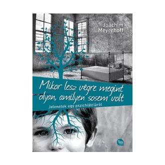   Mikor lesz végre megint olyan, amilyen sosem volt - Jelenetek egy pszichiátriáról