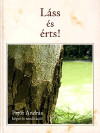 Láss és érts! - Pajor András képei és meditációi