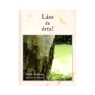 Láss és érts! - Pajor András képei és meditációi