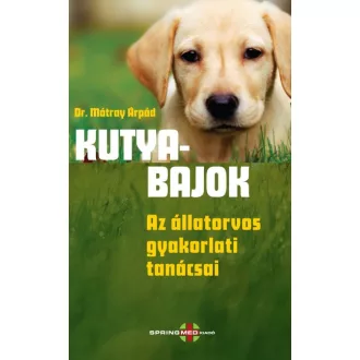 Kutyabajok - Az állatorvos gyakorlati tanácsai