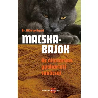 Macskabajok - Az állatorvos gyakorlati tanácsai