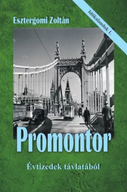 Promontor - Évtizedek távlatából