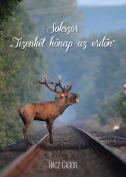 Sokszor - Tizenkét hónap az erdőn