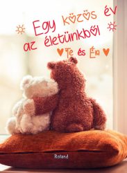   Te és Én - Egy közös év az életünkből (macis borító)