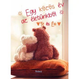   Te és Én - Egy közös év az életünkből (macis borító)